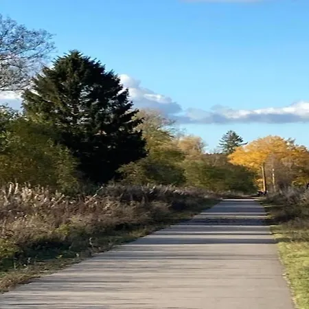 別荘 In With Terrace, Garden *